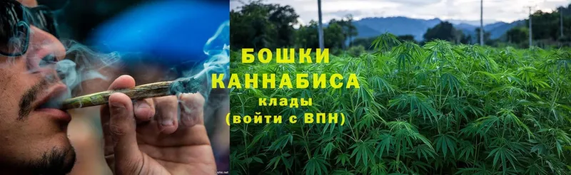 omg маркетплейс  Кувшиново  Каннабис OG Kush 